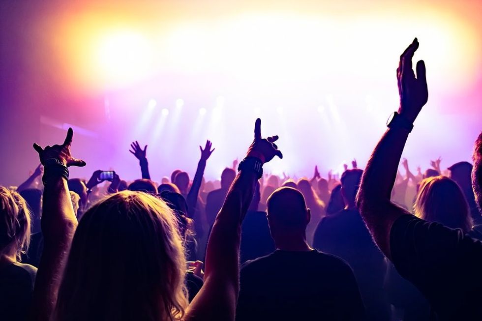 Audience/crowd at a music event / concert
