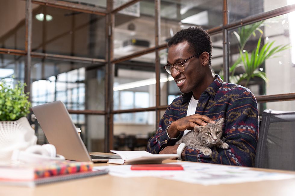 Happy young man working on his laptop at work while he pets his cat on his lap