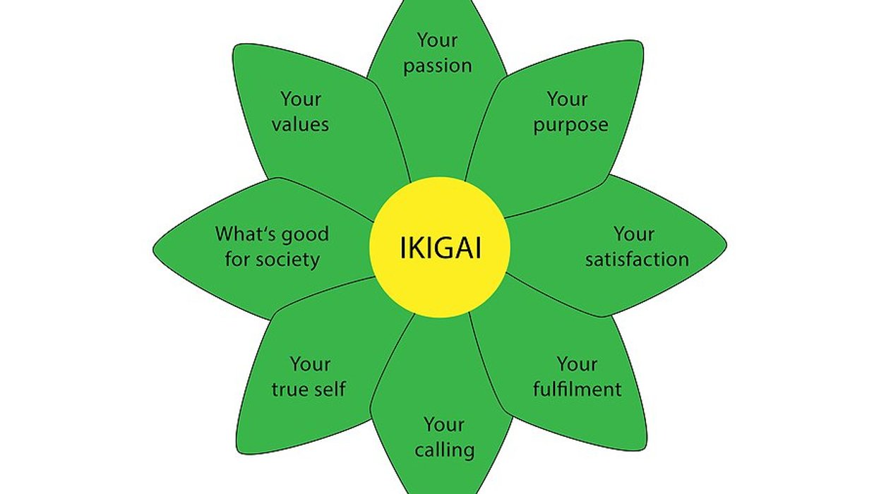 Ikigai concept
