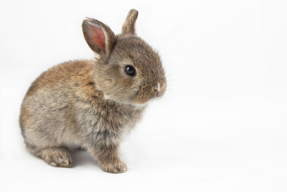 4 Ways To Avoid Looking Like A Job Hopper On Your Resume