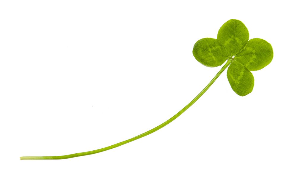 Does 'Luck' Exist In A Job Search?