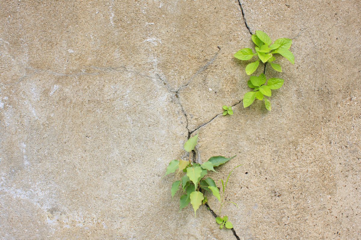 The Power Of Persistence In Your Career