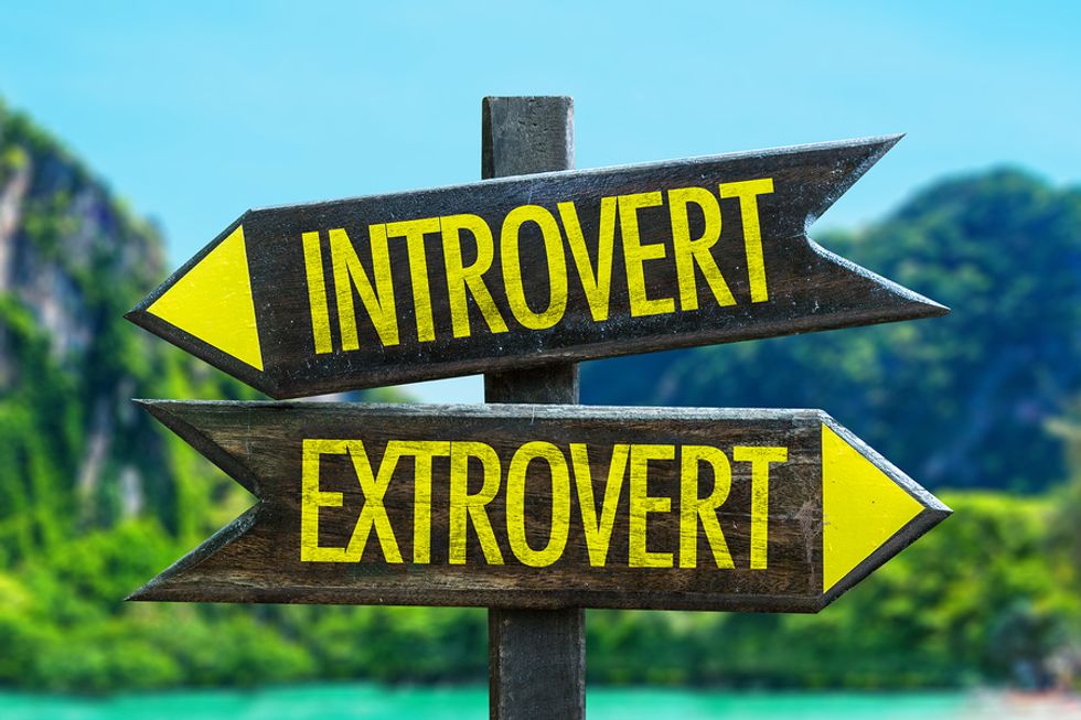 Introvert Versus Extrovert Careers
