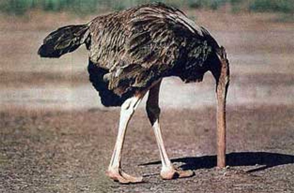 Please Don't Be An Ostrich