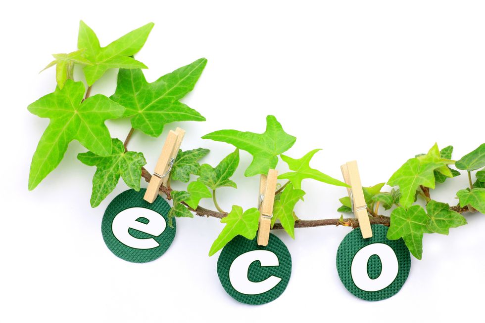 Work For A Green Company