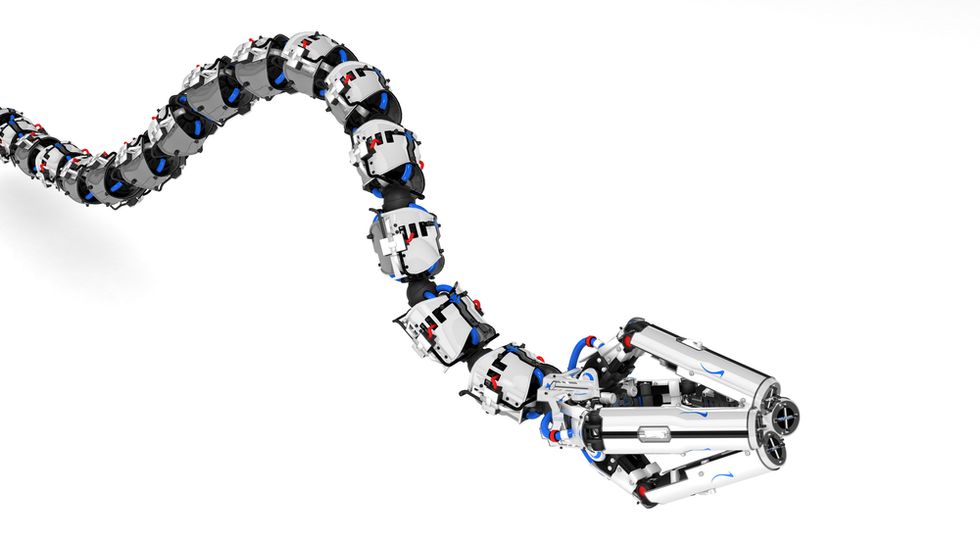 How To Be A Career Robot Snake