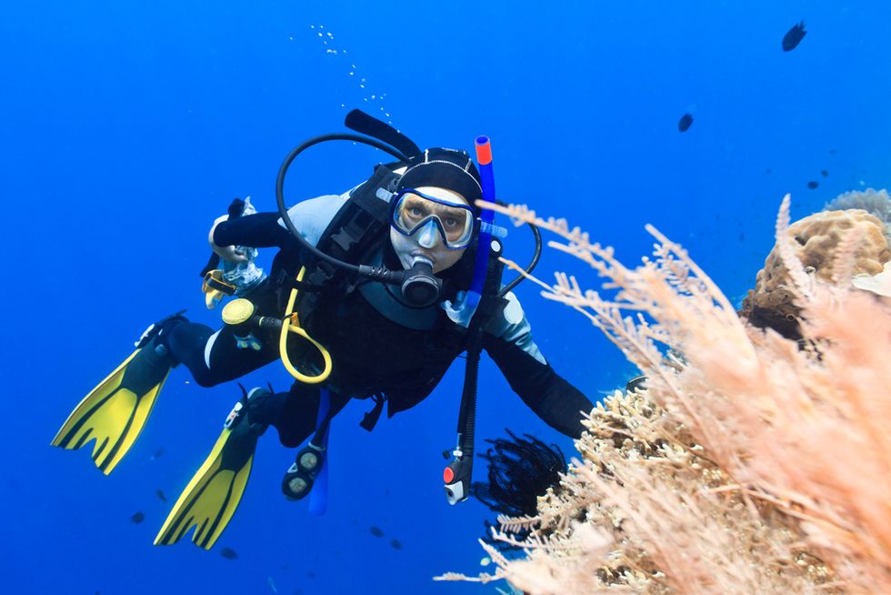 Careers In Diving: Working Underwater Has Big Rewards
