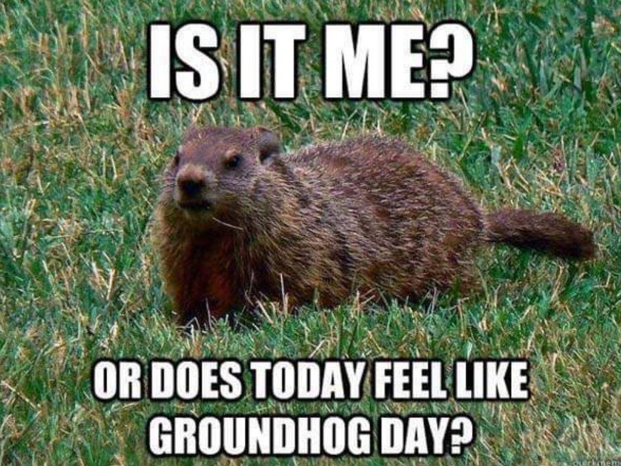 How To Improve The Efficiency Of Your Help Desk