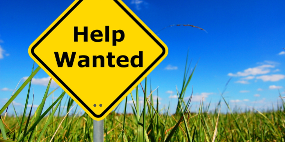 2 Virtual Internships Available with CAREEREALISM