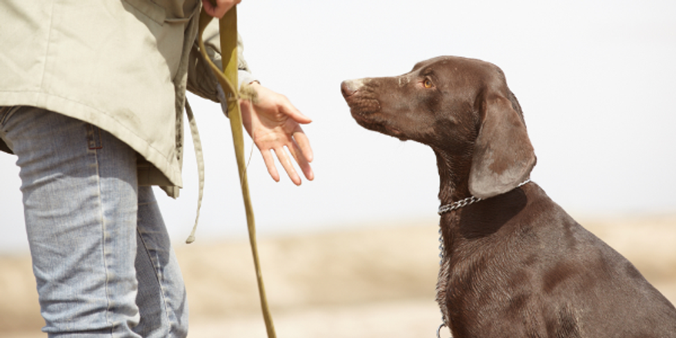 Does Your Profession Have the 'Type and Temperament' Standard?
