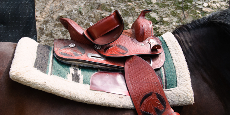 6 Tips to Getting Back in the Employment Saddle Again