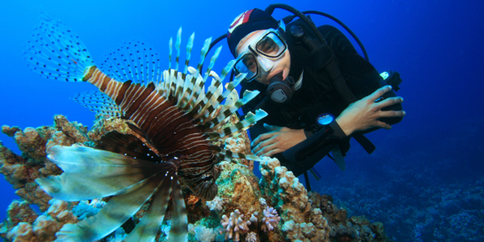 Learn the Career Path of a Marine Biologist