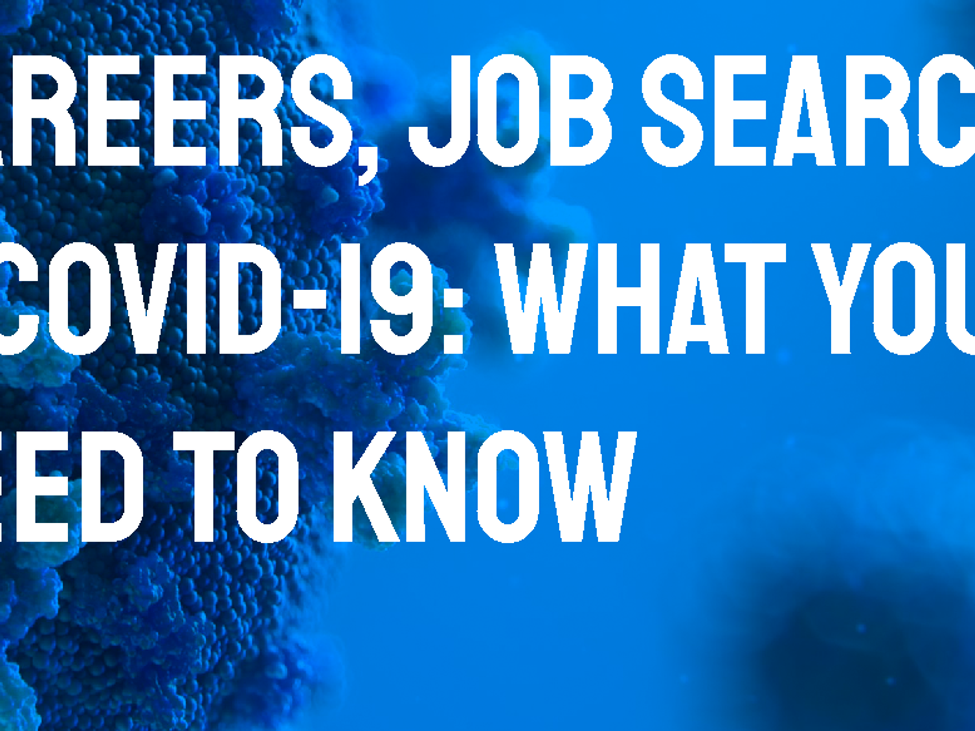 Careers, Job Search & Covid-19: What You NEED To Know