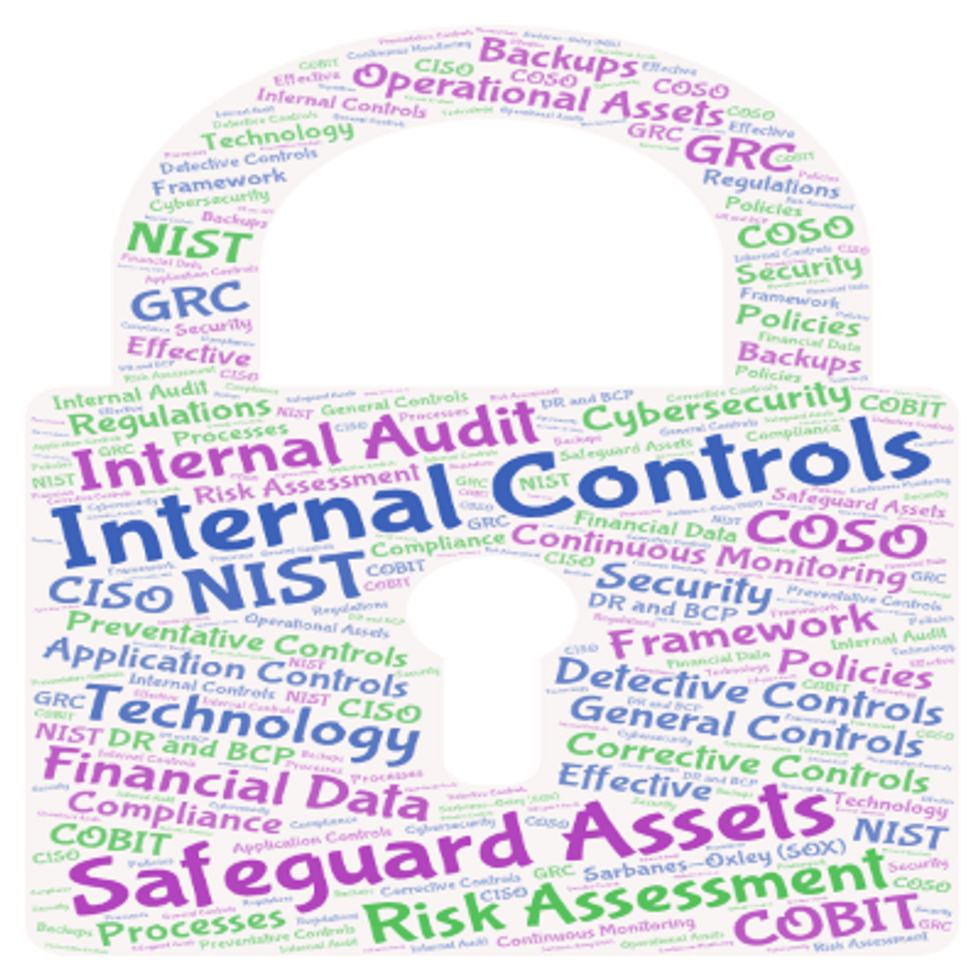 internal controls /safeguard assets concept