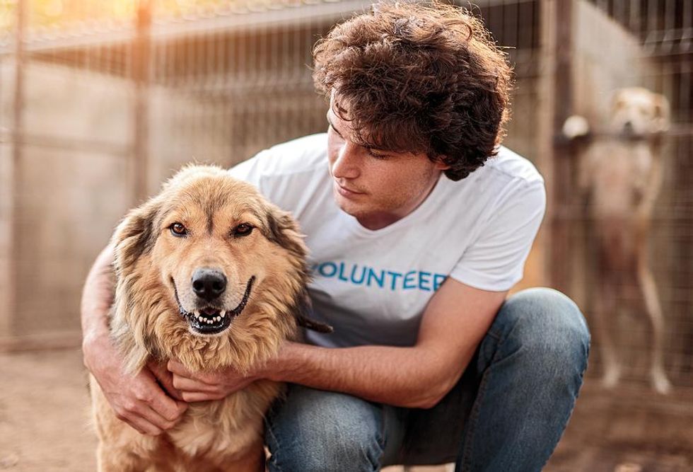 Man volunteers at an animal shelter