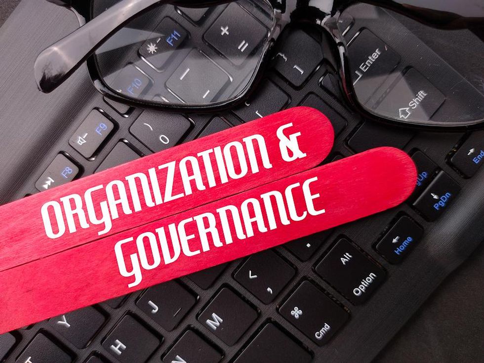 organization and governance