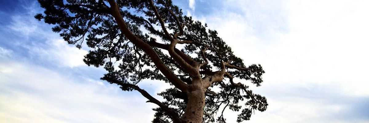 5 Tips That Build Resilience For Sales Teams