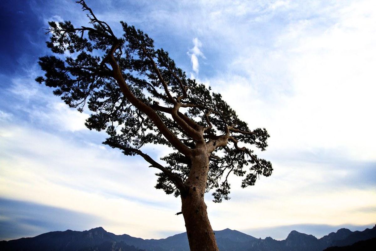 5 Tips That Build Resilience For Sales Teams