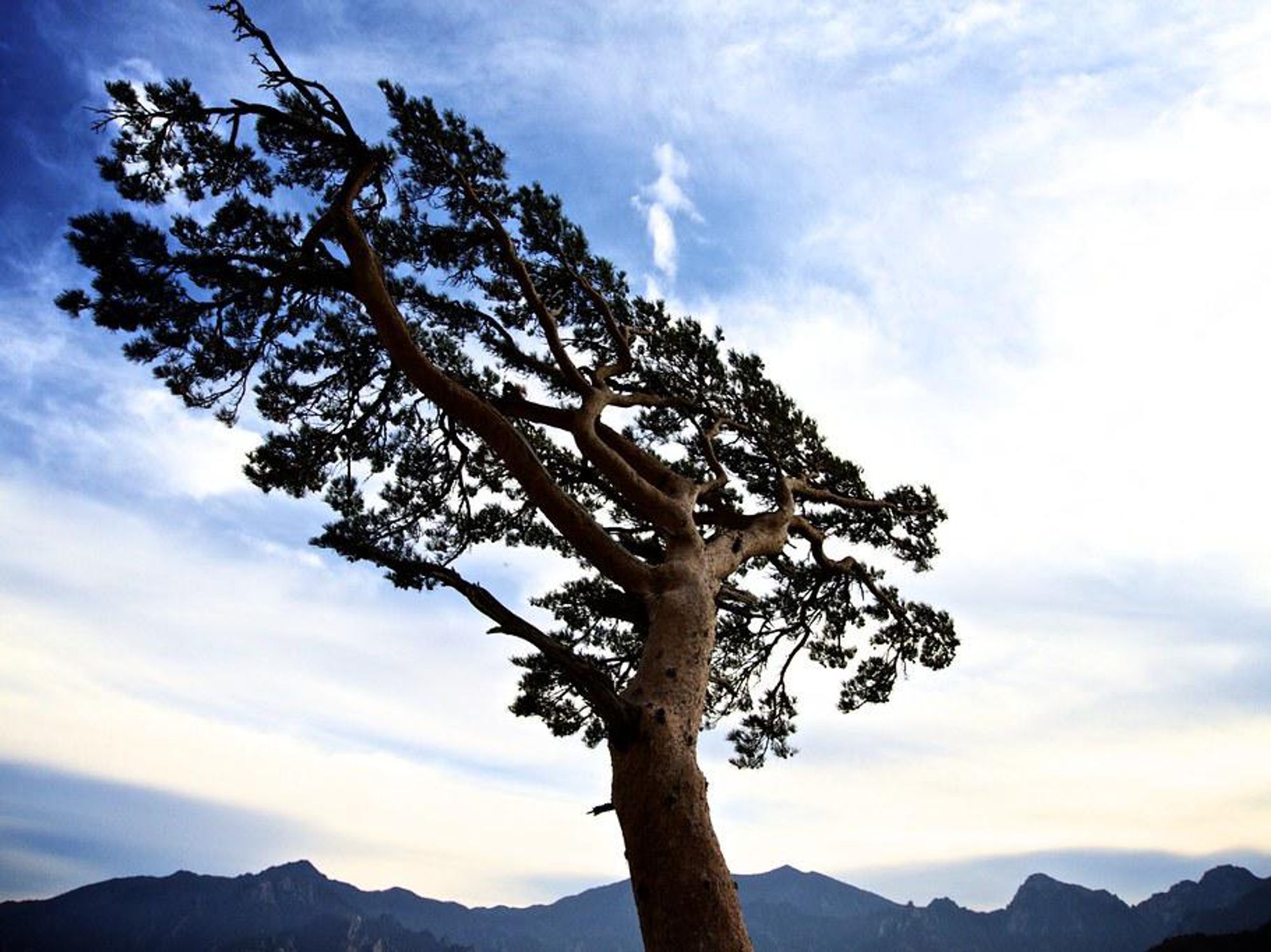 5 Tips That Build Resilience For Sales Teams