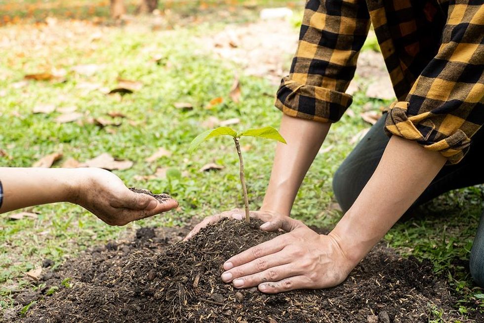 Deux personnes jardinant, plantant un arbre